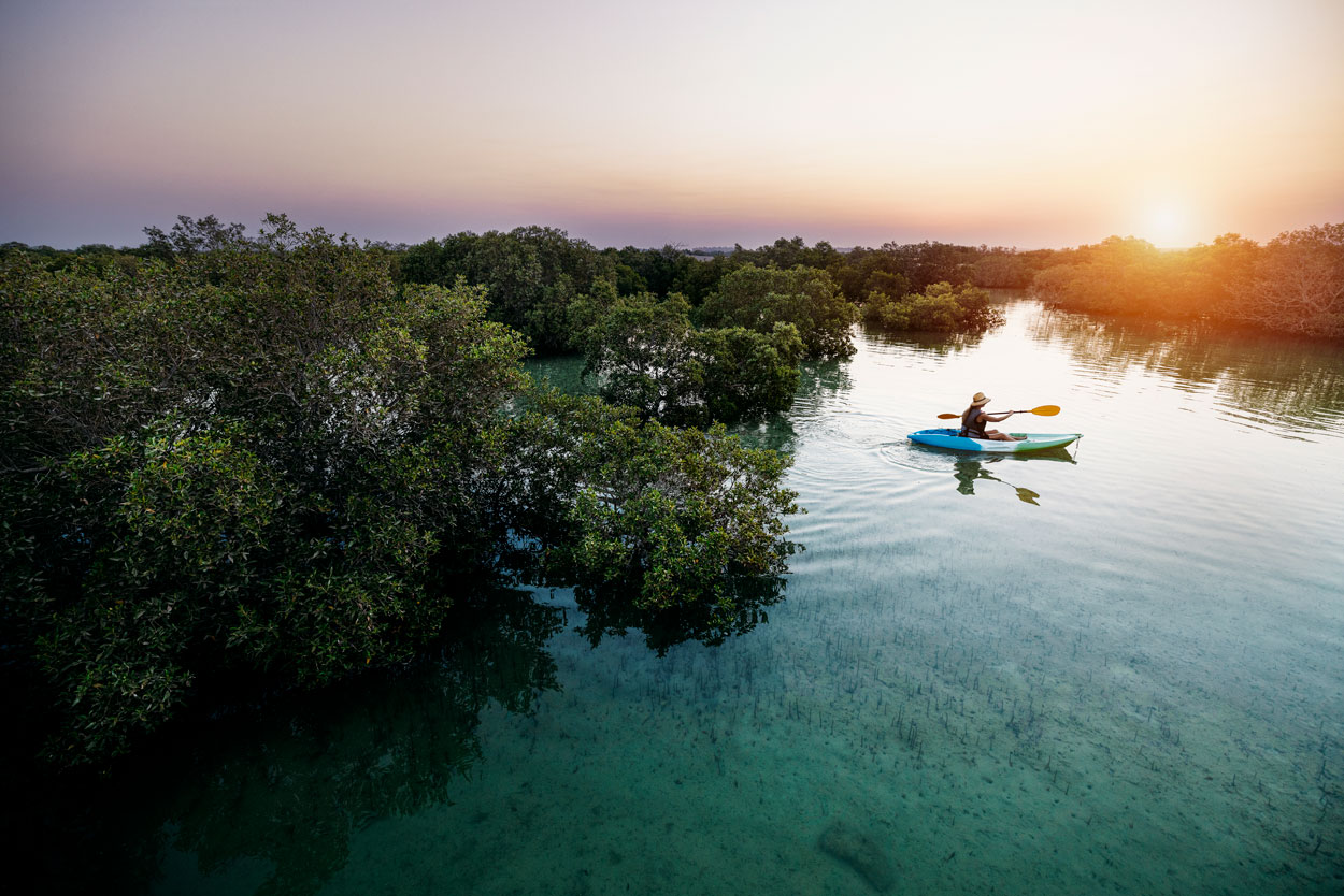 Woman kayaking through mangroves during golden sunset