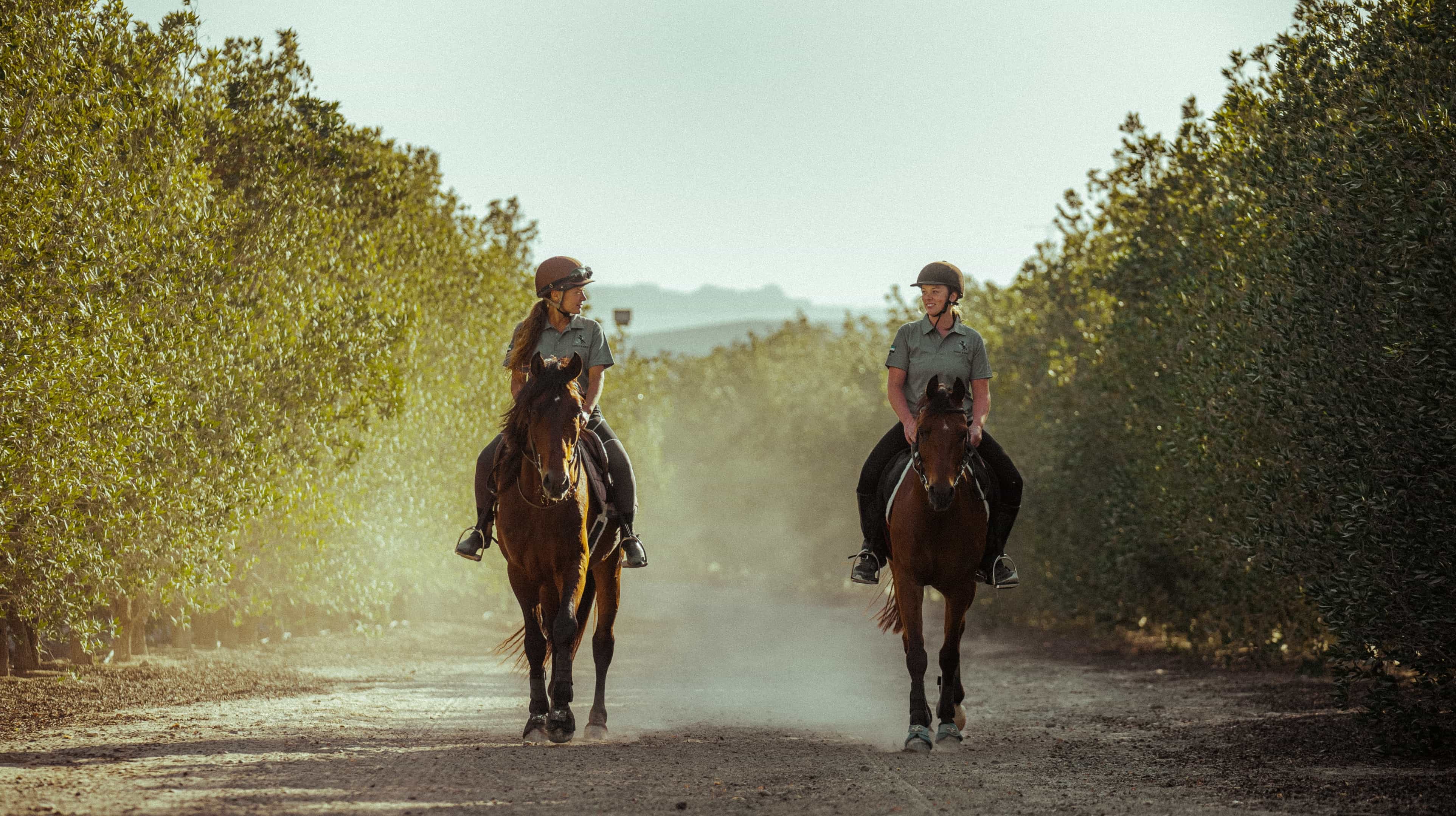 Horse-racing