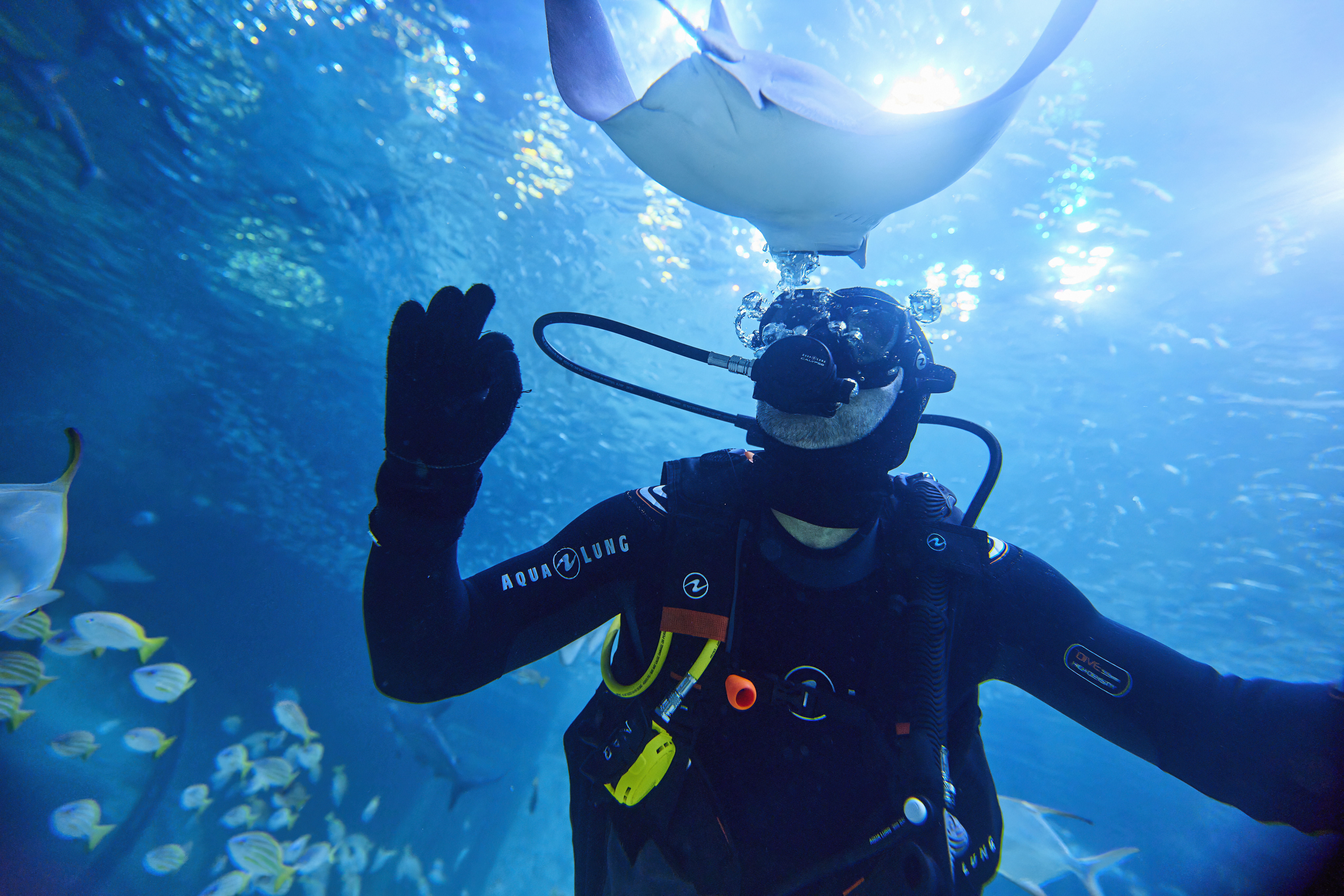 5. 国立水族館