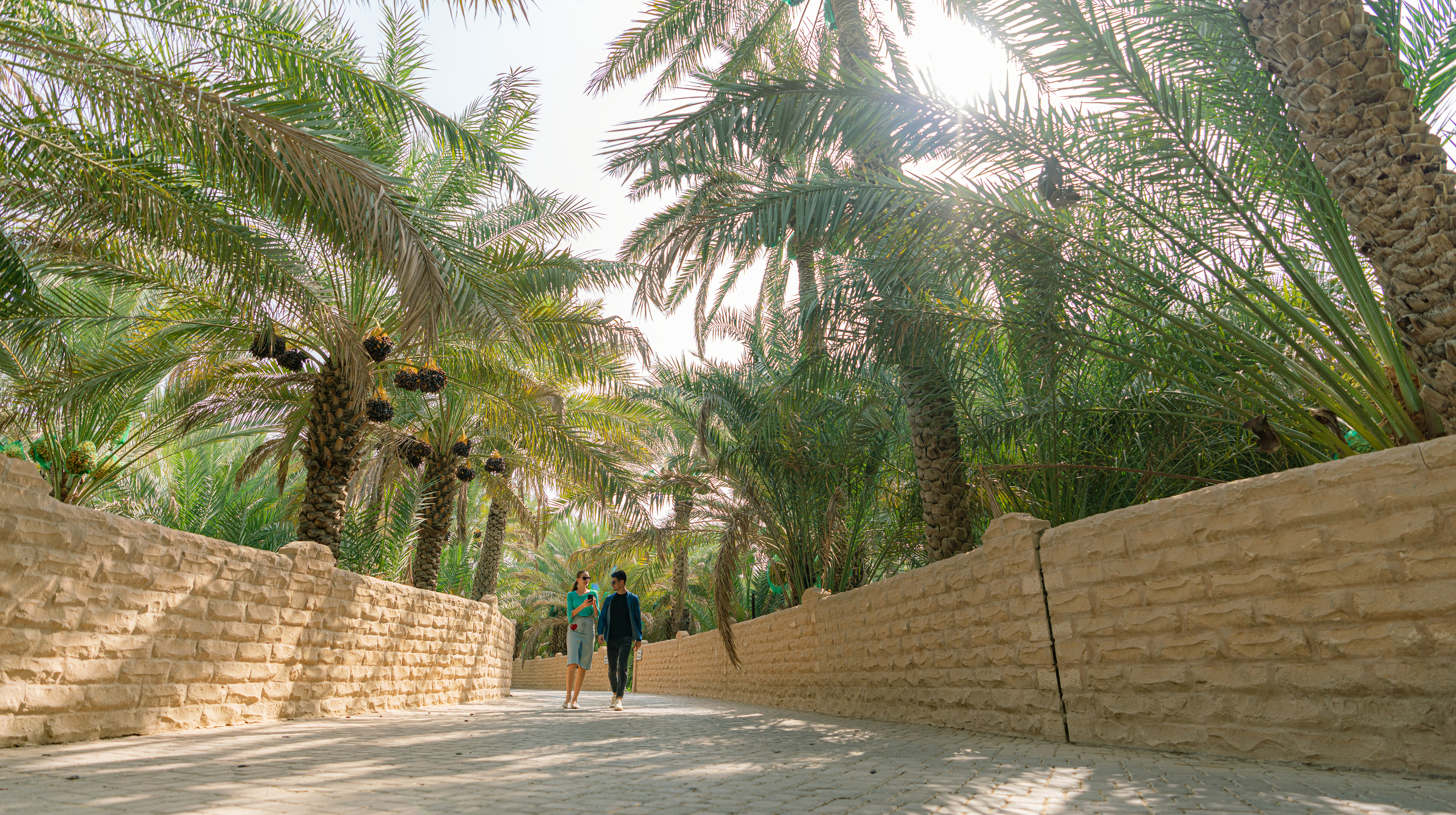 Una coppia di turisti esplora la rigogliosa natura di Abu Dhabi passeggiando in un viale tra le palme nell'Oasi di Al Ain