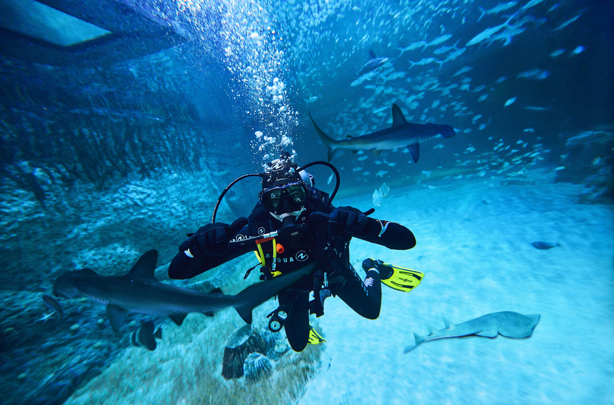 2. シーワールドと国立水族館で幻想的な海の世界へ