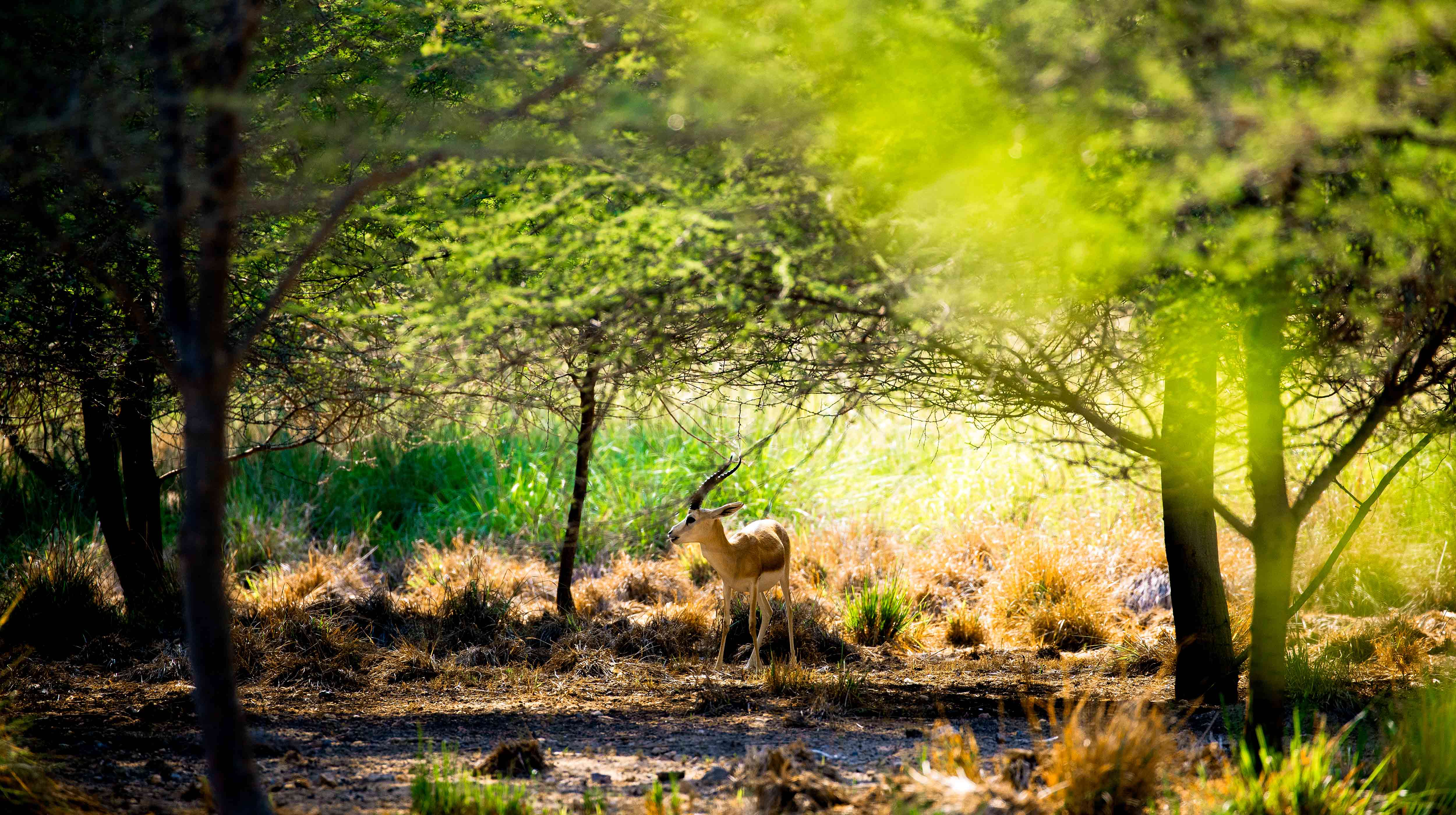 Naturaleza