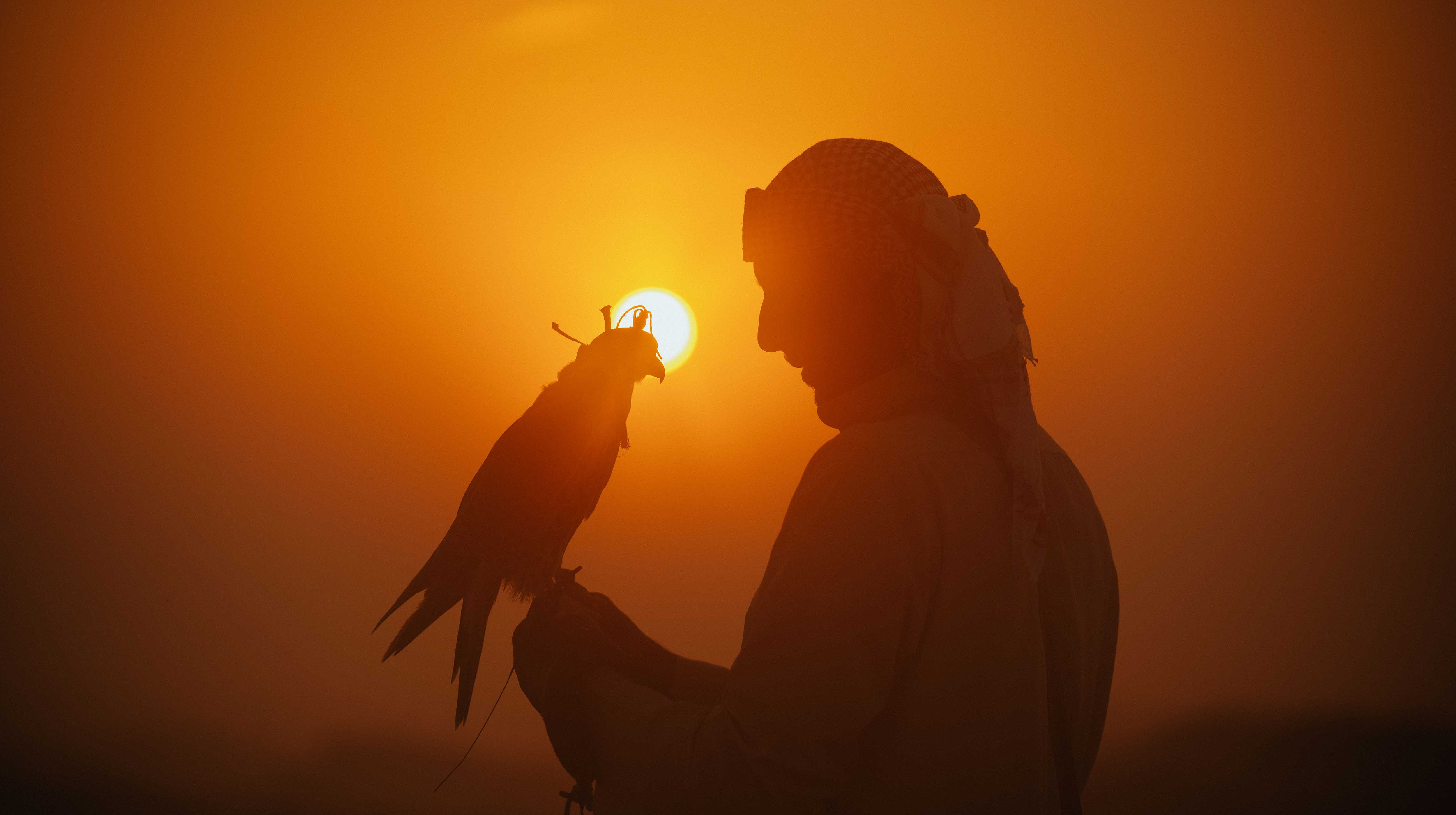 Cultura en Abu Dhabi 