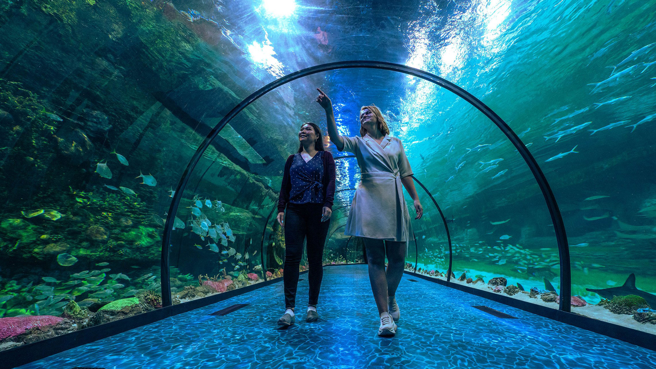 Two women walking through the underwater tunnel at the National Aquarium Abu Dhabi, surrounded by sea life.