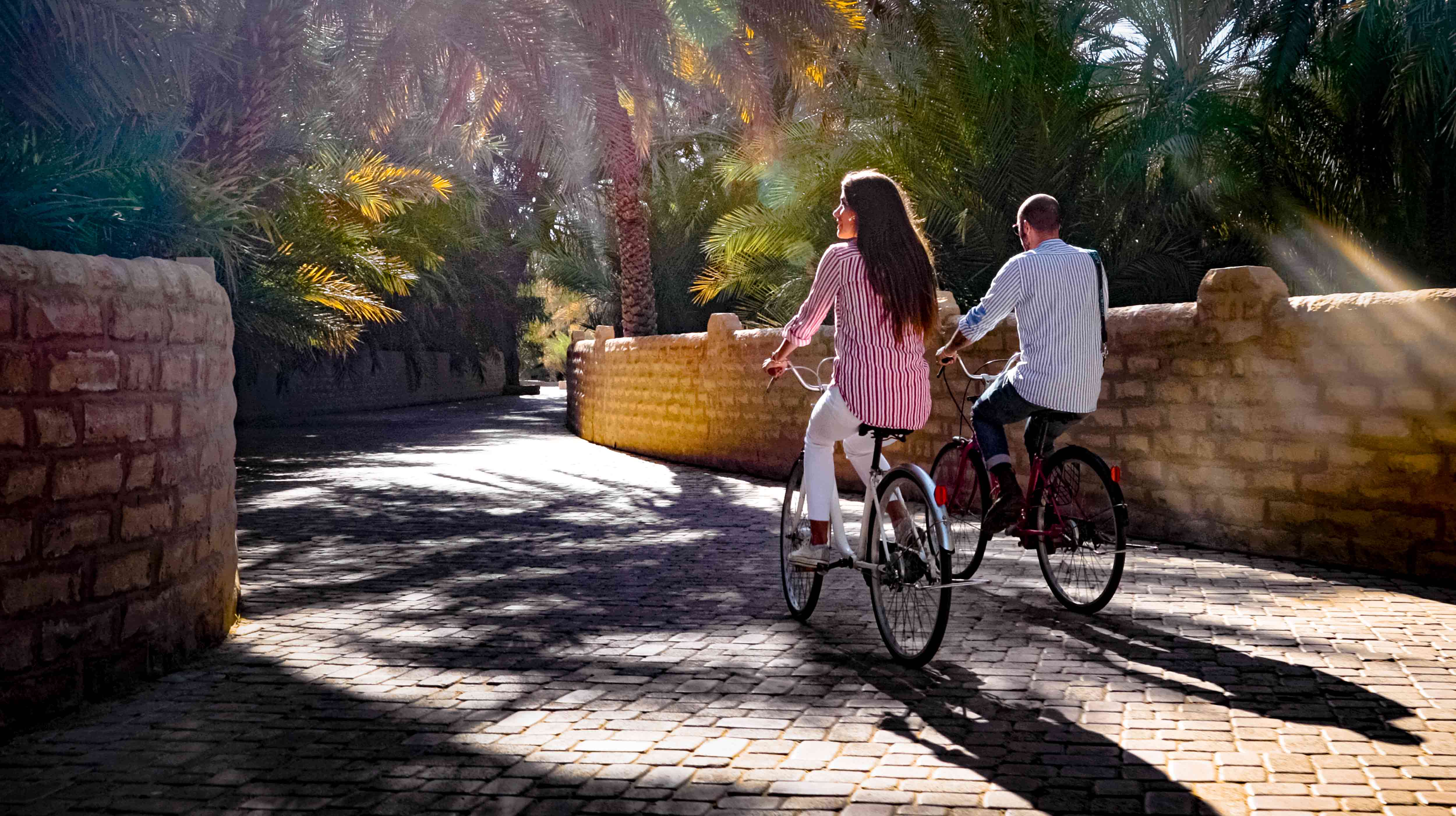 Oasis de Al Ain