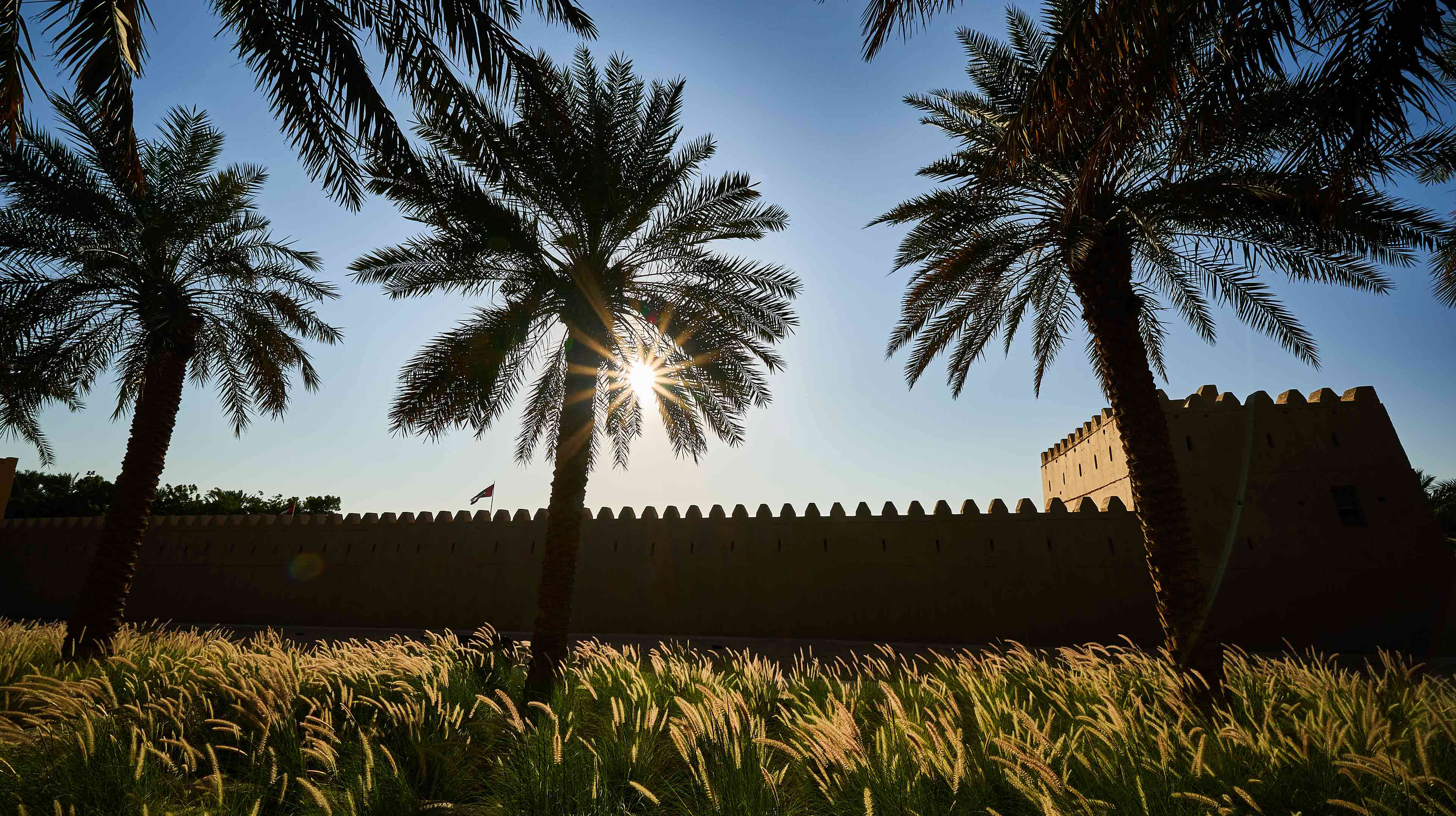 Al Muwaiji Oasis